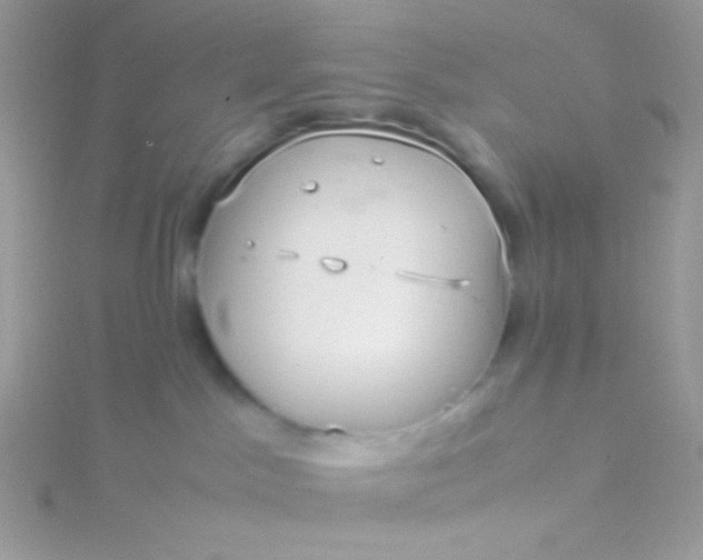 X0000115580045200911241522