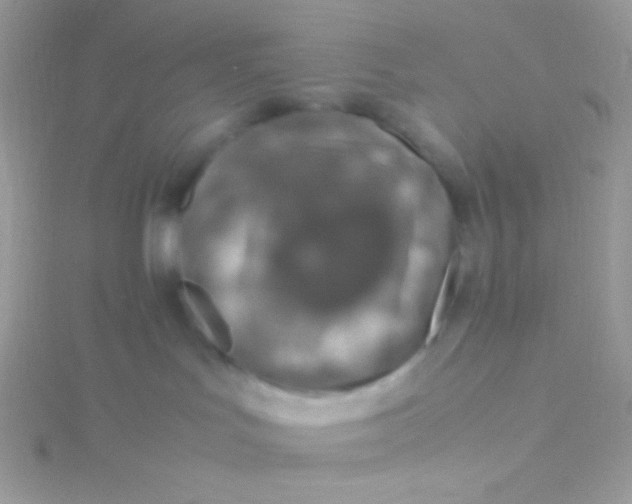 X0000115580047200911241522