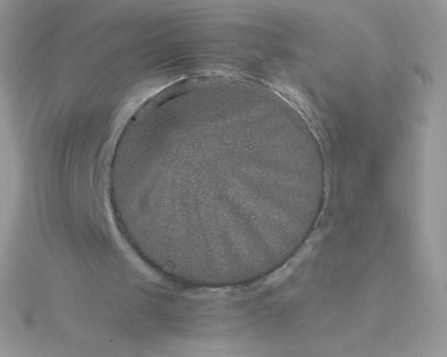 X0000115580049200911241521