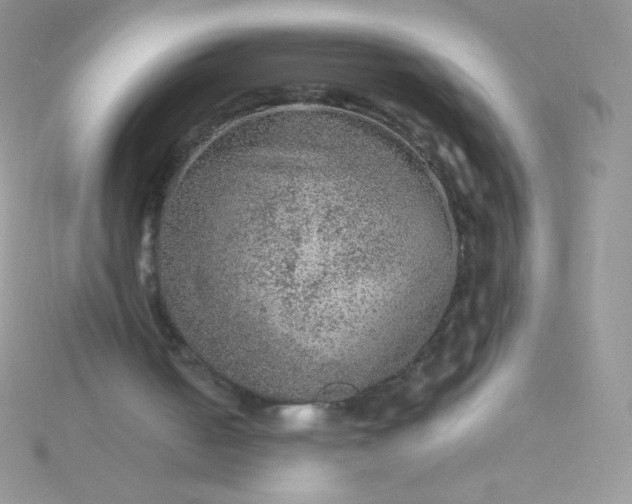 X0000115580050200911241521