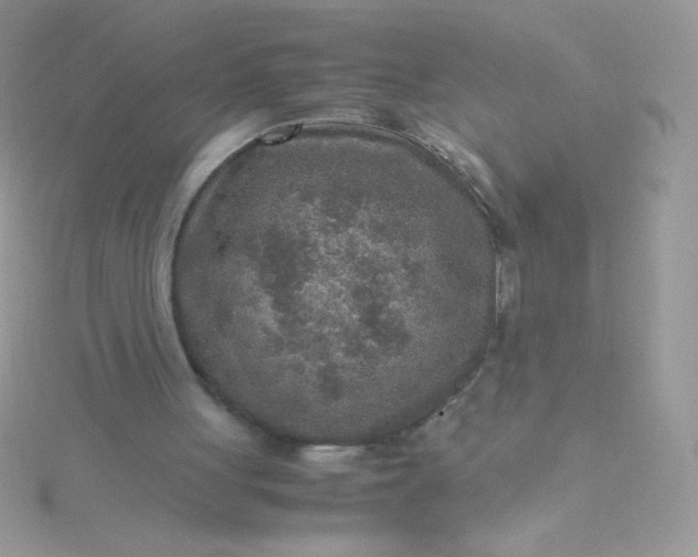 X0000115580051200911241521