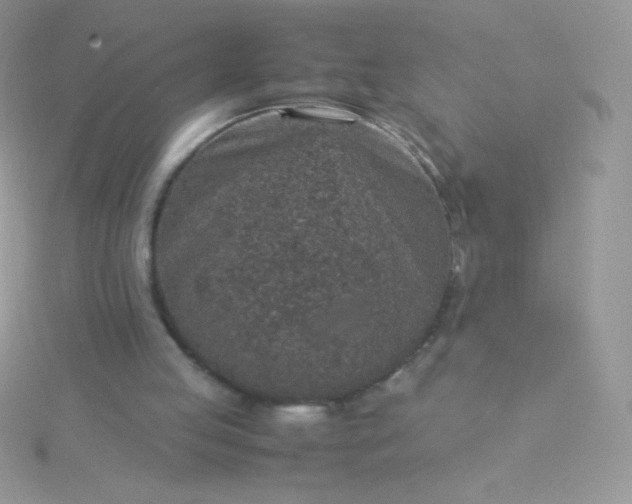 X0000115580053200911241521