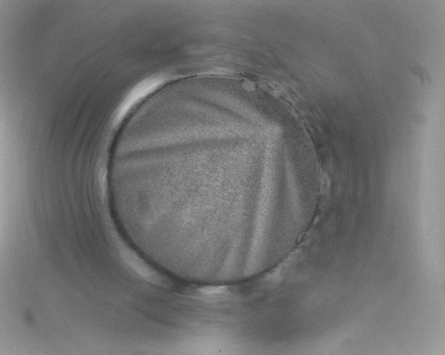 X0000115580054200911241521