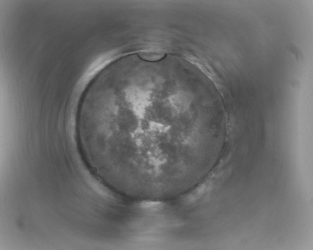 X0000115580055200911241521