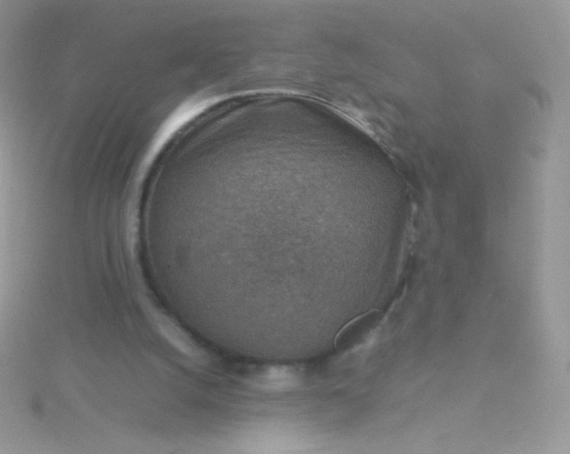 X0000115580056200911241521