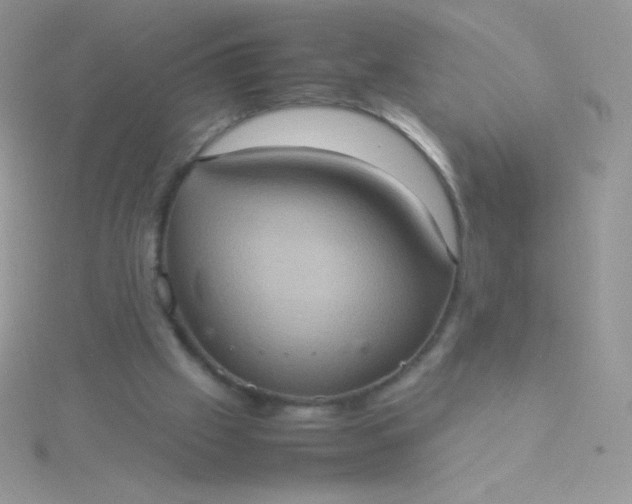 X0000115580057200911241521