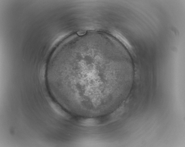 X0000115580058200911241521