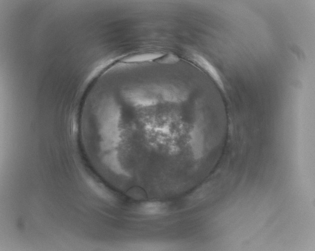 X0000115580059200911241521