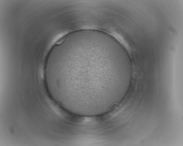 X0000115580060200911241521