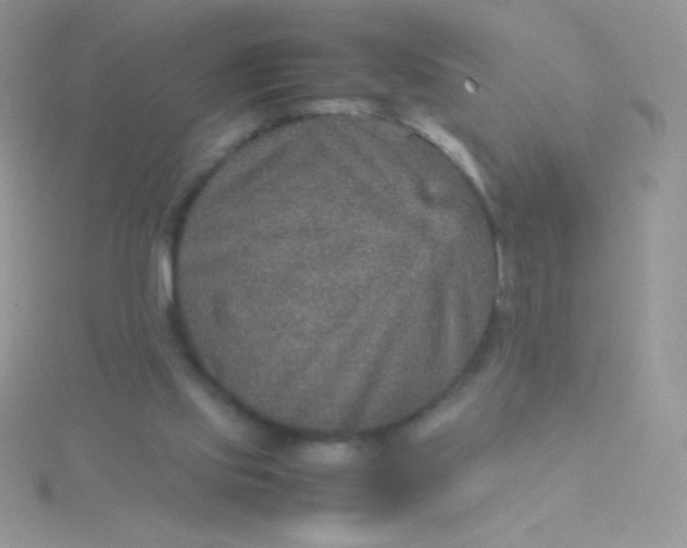 X0000115580061200911241521