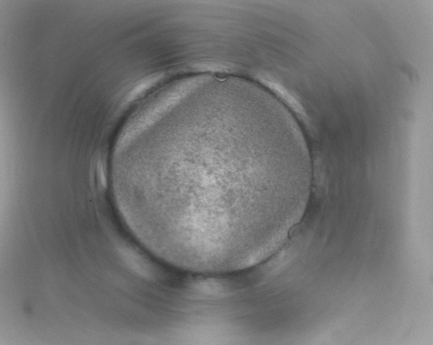 X0000115580062200911241521