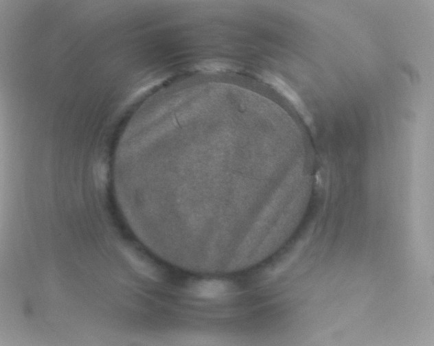 X0000115580063200911241521