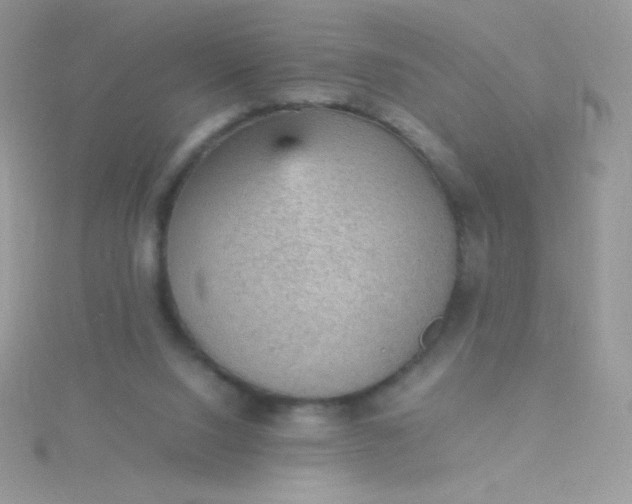 X0000115580064200911241521