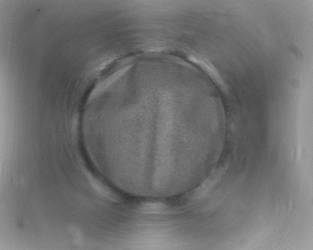 X0000115580066200911241521