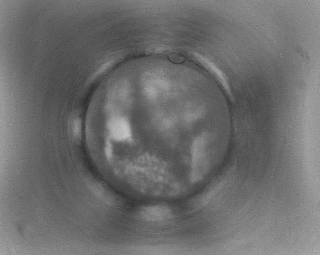 X0000115580067200911241521