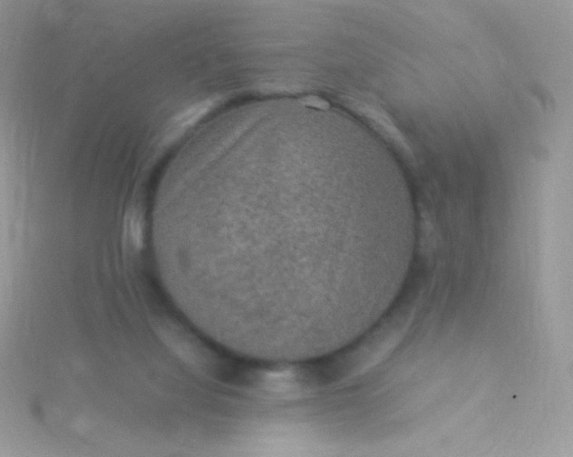 X0000115580068200911241521