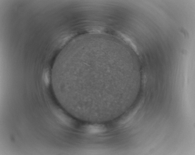 X0000115580069200911241521