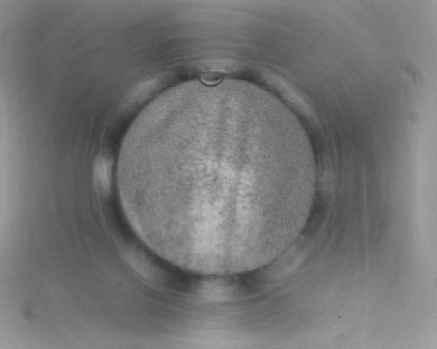 X0000115580070200911241521