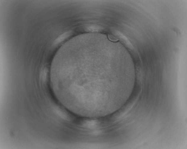 X0000115580071200911241521