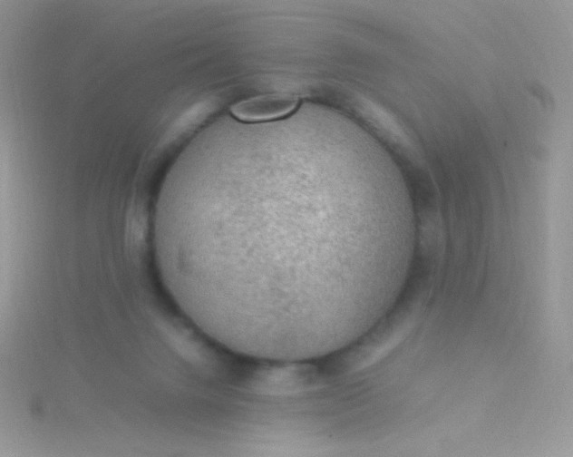 X0000115580072200911241521