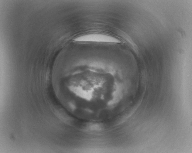 X0000115580073200911241521