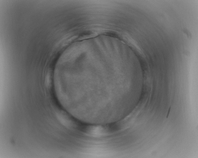 X0000115580074200911241521