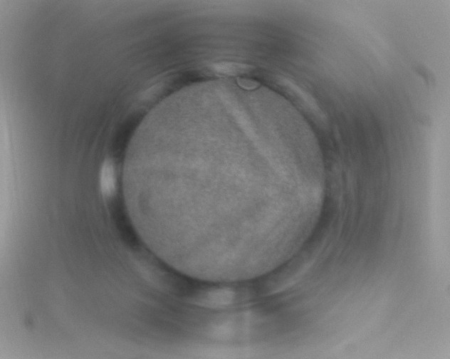 X0000115580075200911241521