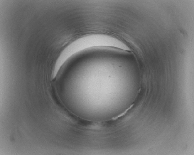 X0000115580076200911241521