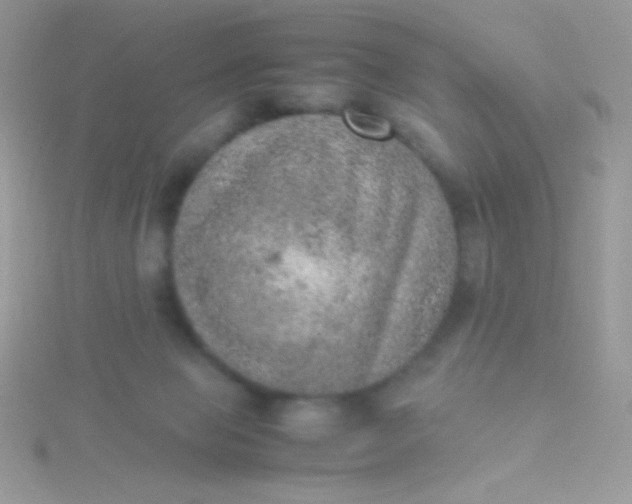 X0000115580077200911241521