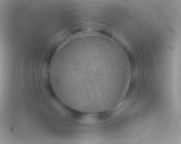 X0000115580078200911241521