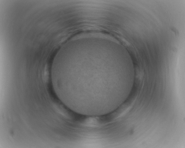 X0000115580080200911241521