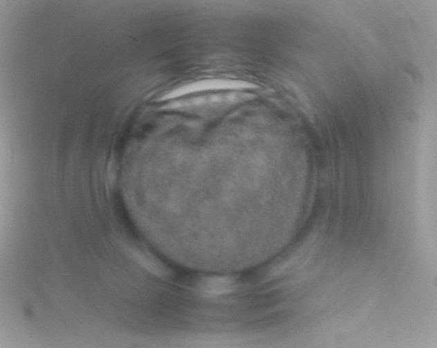 X0000115580081200911241521