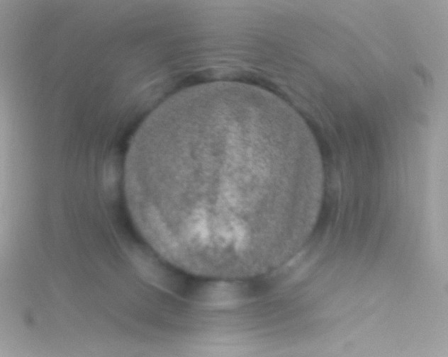 X0000115580082200911241521