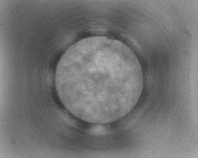 X0000115580083200911241521