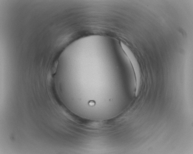 X0000115580084200911241521