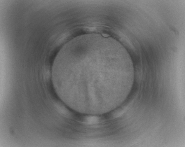 X0000115580085200911241521