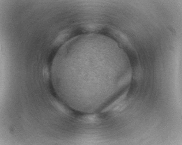 X0000115580086200911241521