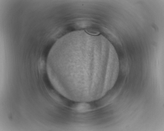 X0000115580087200911241521