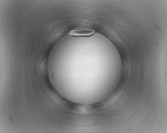 X0000115580088200911241521