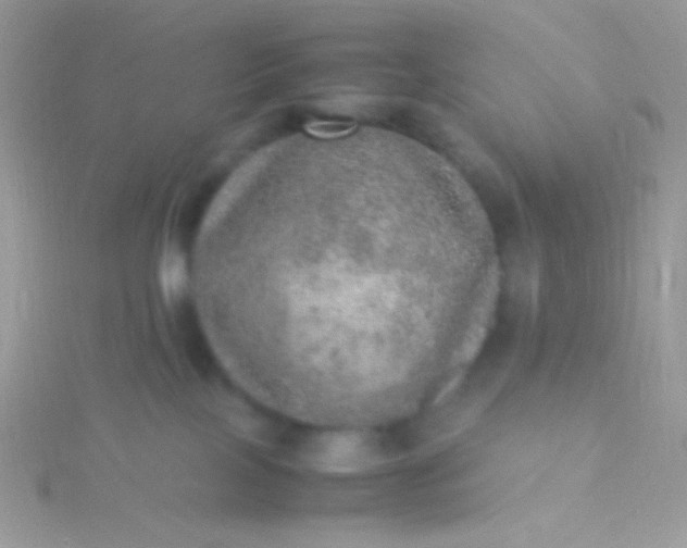 X0000115580089200911241521