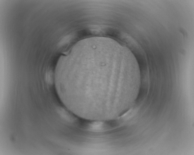 X0000115580090200911241521