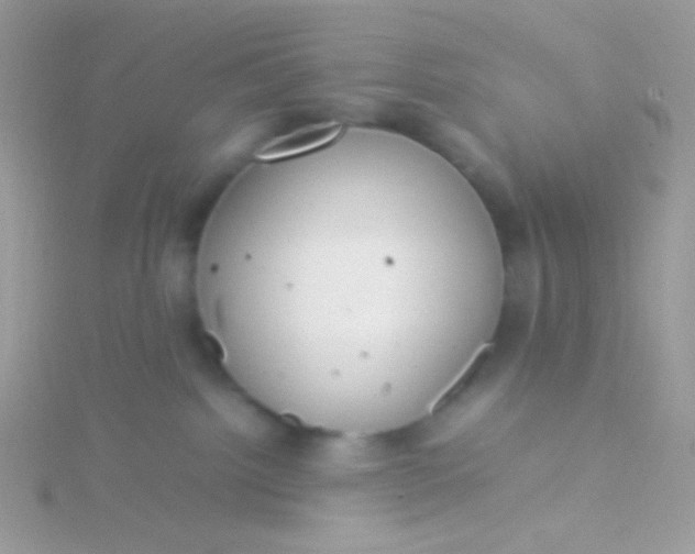 X0000115580092200911241521