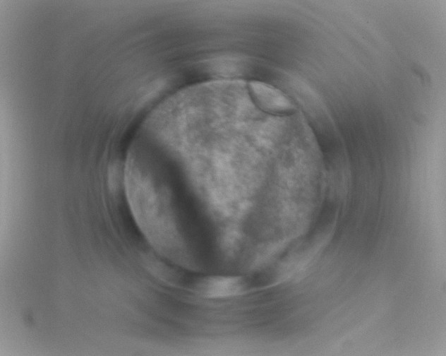 X0000115580093200911241521