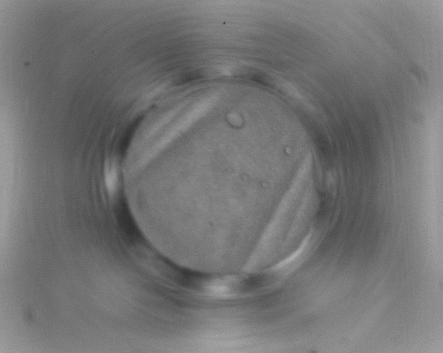 X0000115580094200911241521