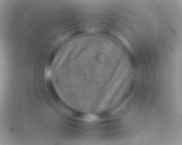 X0000115580095200911241521