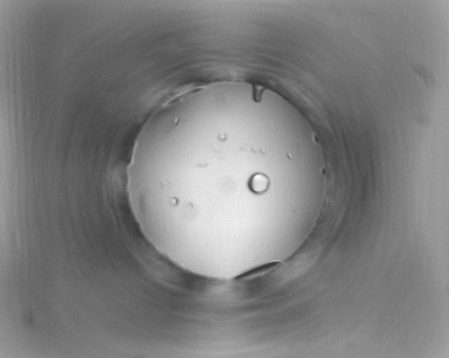 X0000115580096200911241522