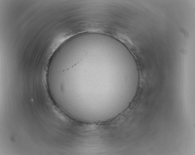 X0000115580098200911241521