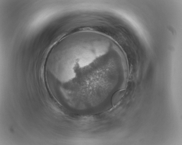 X0000115580099200911241521