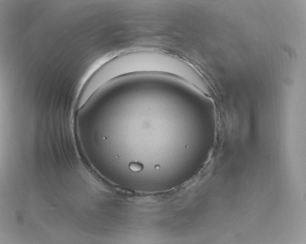 X0000115580100200911241521