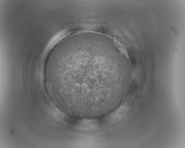 X0000115580101200911241521